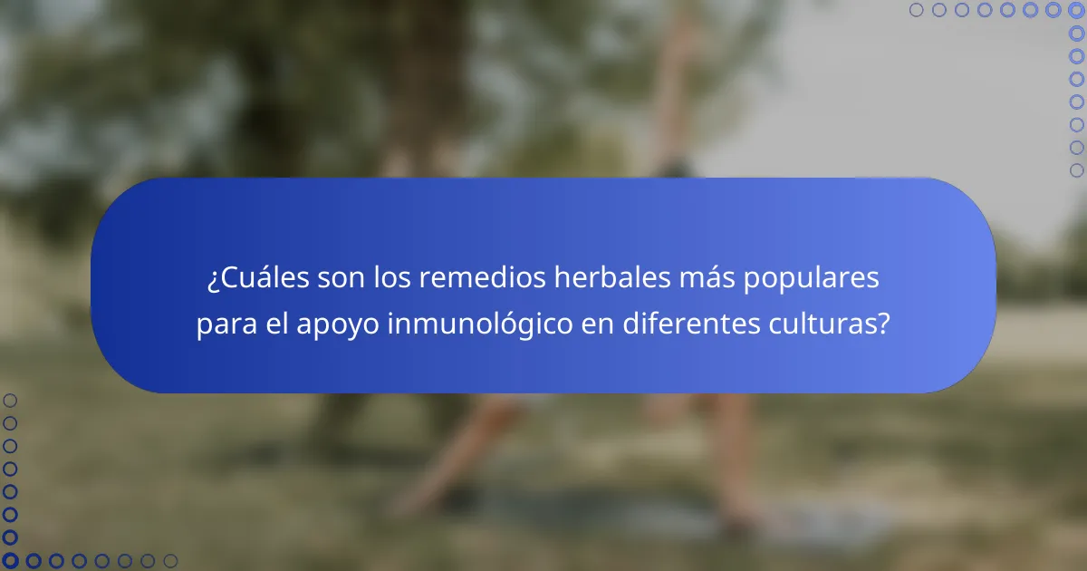 ¿Cuáles son los remedios herbales más populares para el apoyo inmunológico en diferentes culturas?