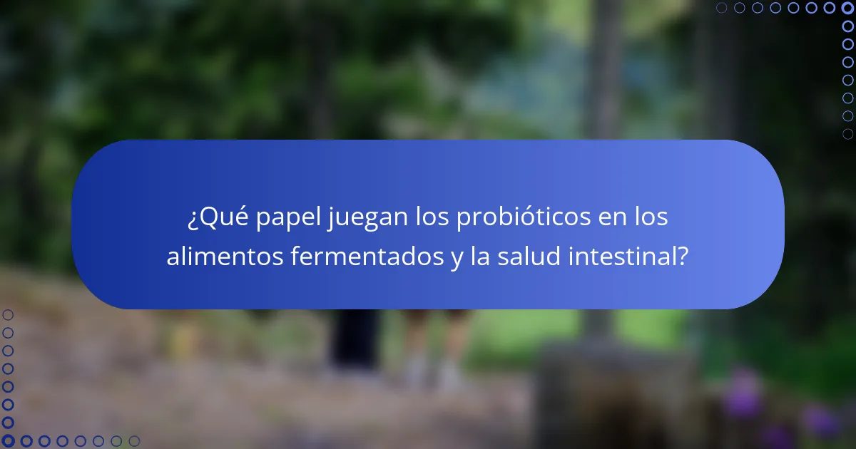 ¿Qué papel juegan los probióticos en los alimentos fermentados y la salud intestinal?